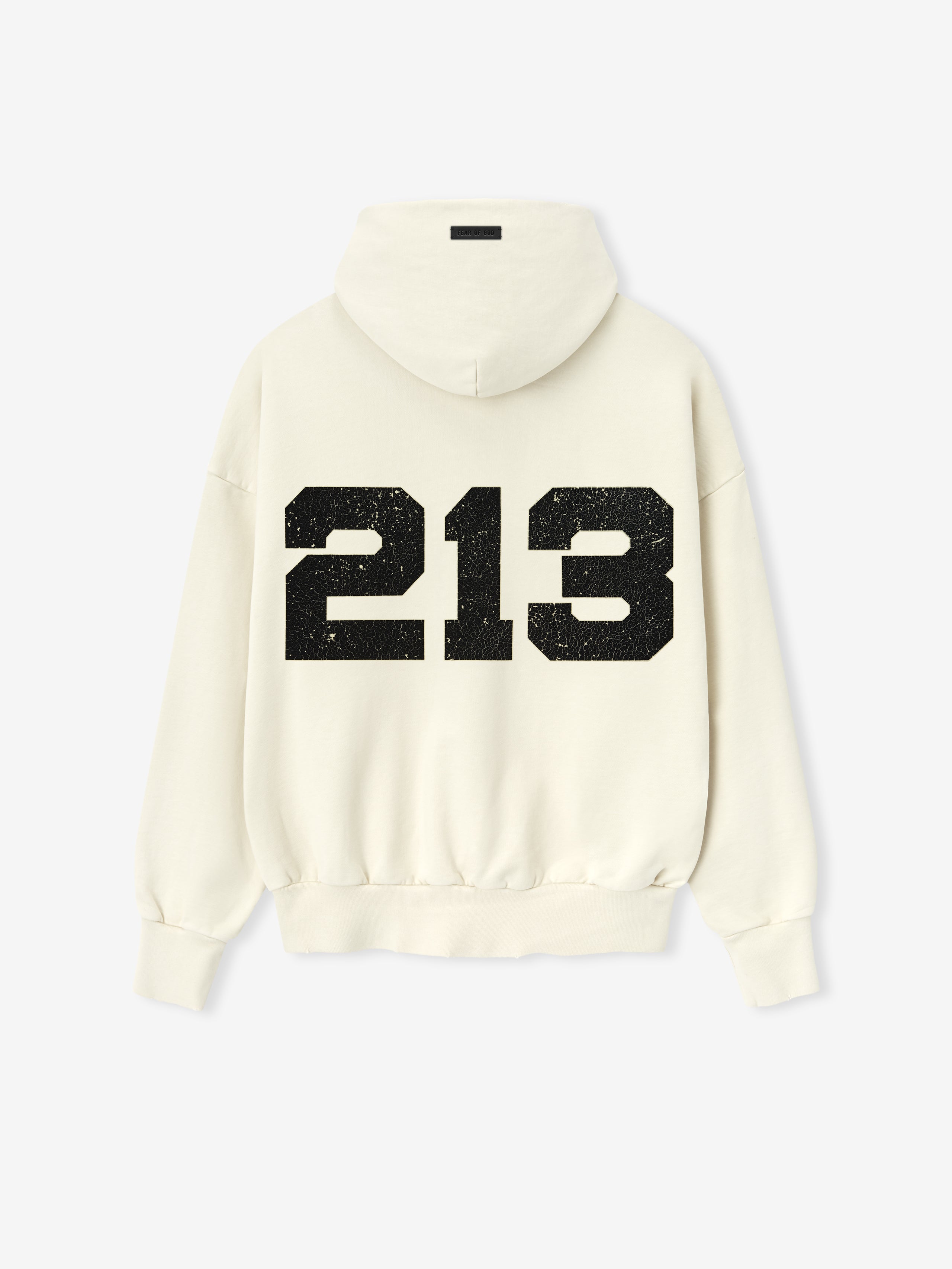 213 Chapter Hoodie