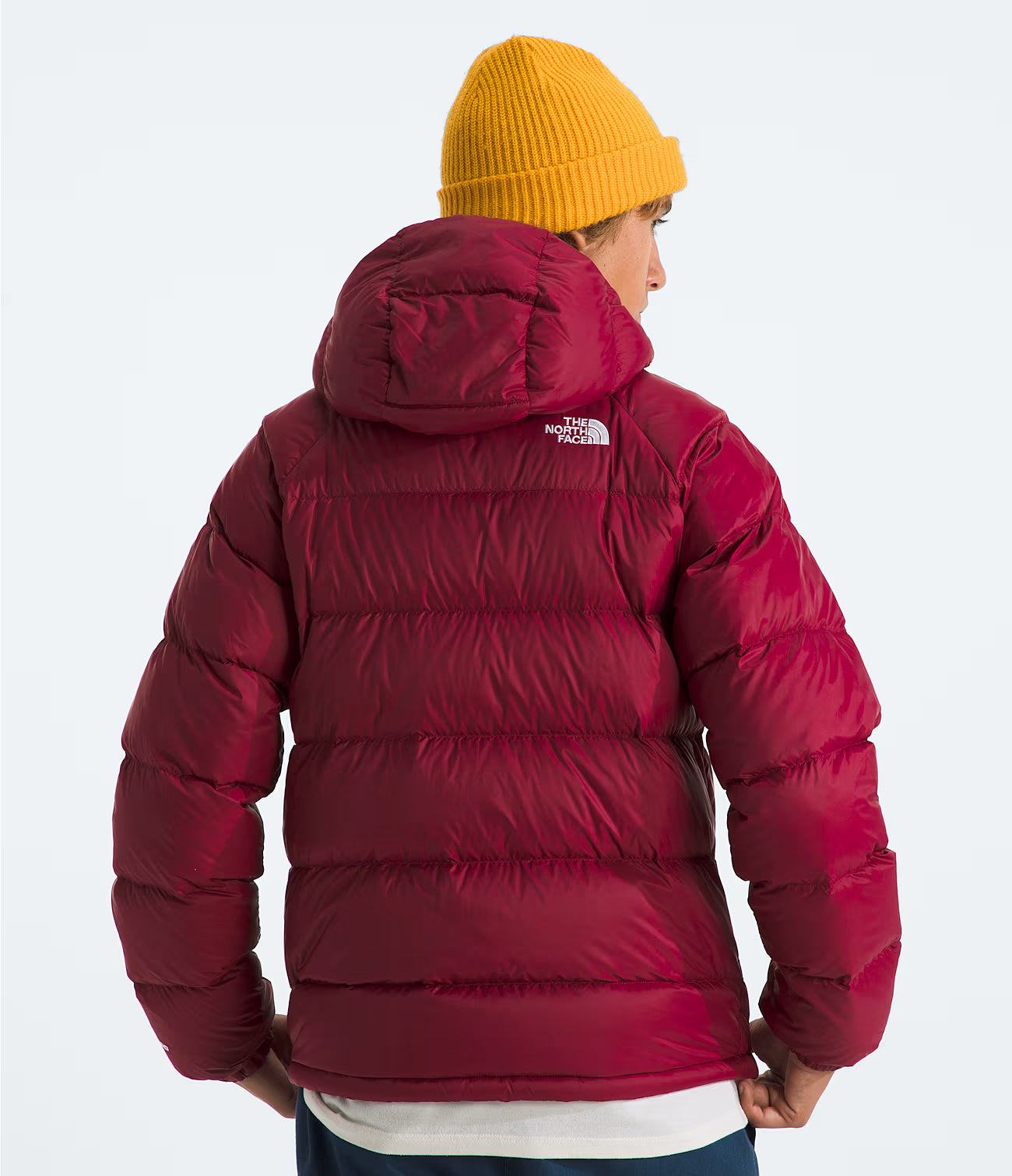 Men’s Hydrenalite Down Hoodie